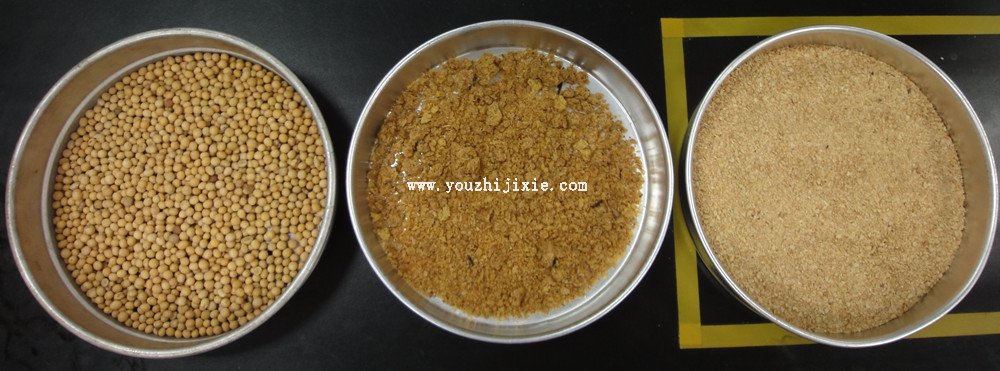 浸出油不健康嗎?油脂化學與工藝學探討(圖1) 從左到右分別是:大豆、經過膨化處理還未浸出的大豆料胚、豆粕