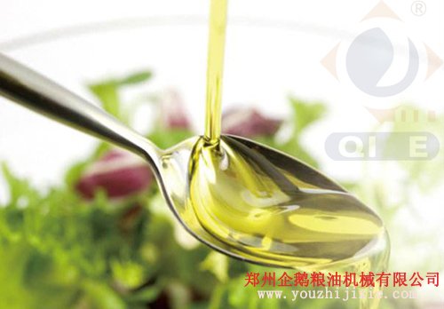 核桃榨油成套設備交鑰匙工程(圖5) 核桃榨油成套設備交鑰匙工程(圖5)