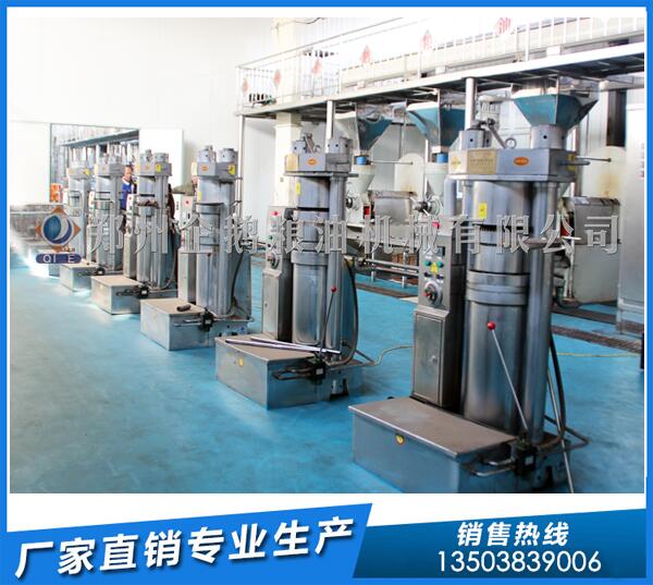 核桃油榨油機生產(chǎn)線,企鵝品牌鋒芒盡顯(圖1) 核桃榨油機