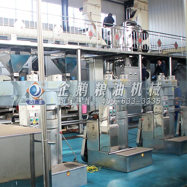 核桃油生產(chǎn)設(shè)備,鄭州企鵝品質(zhì)聲名遠(yuǎn)揚(yáng)(圖1) 核桃油生產(chǎn)設(shè)備