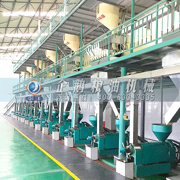 芍藥籽油加工設備,信賴企鵝廠家旗開得勝(圖1) 芍藥籽油加工設備